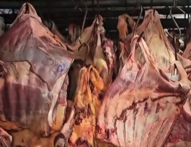 Polícia prende grupo que vendeu carne contaminada por enchentes no Rio Grande do Sul