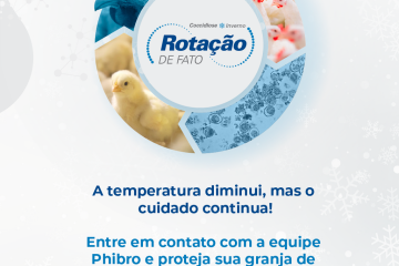 Coccidiose é desafio para a avicultura nos meses mais frios do ano. Rotina e monitoramento são essenciais para a prevenção da doença