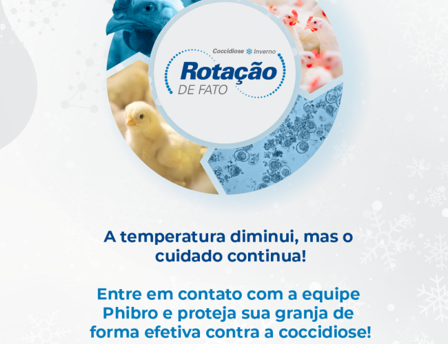 Coccidiose é desafio para a avicultura nos meses mais frios do ano. Rotina e monitoramento são essenciais para a prevenção da doença