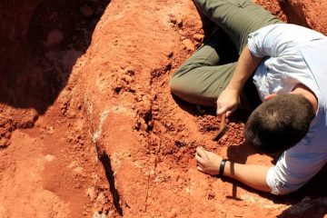 Novo achado paleontológico revela segredos da evolução dos dinossauros no Brasil