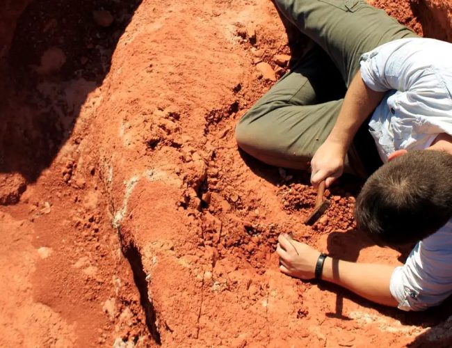 Novo achado paleontológico revela segredos da evolução dos dinossauros no Brasil