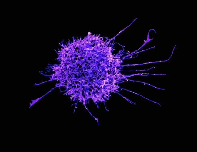 Descoberta revolucionária: cientistas revelam mecanismo para desativar genes relacionados ao câncer de forma permanente